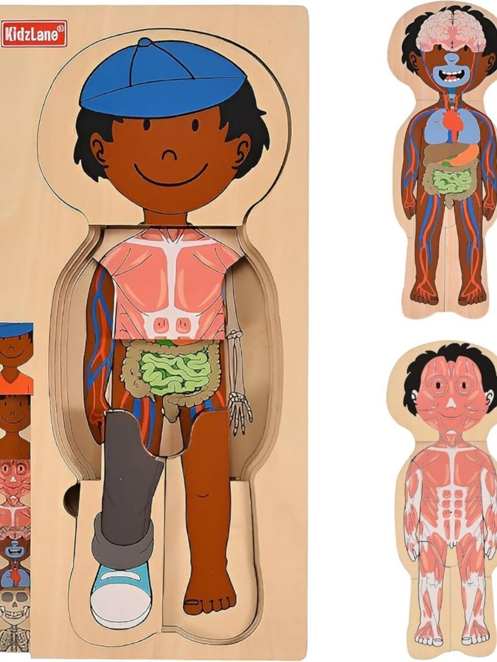 Wooden My Body Puzzle for Toddlers - 29 Piece Anatomy Play Set for Kids 3